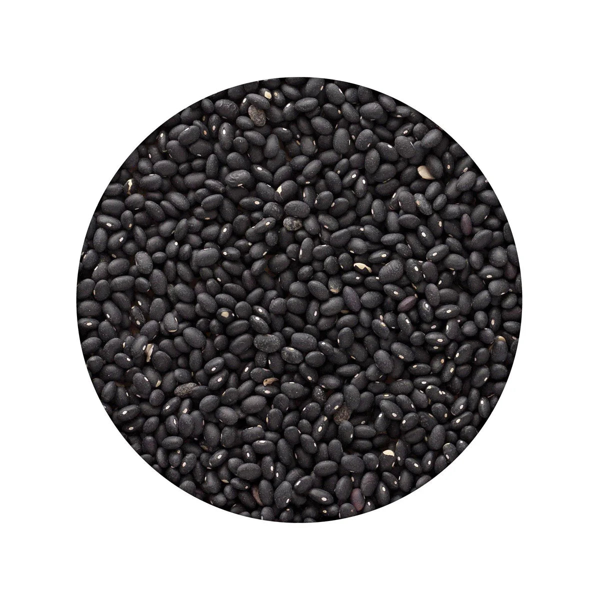 Black Beans – #10 Can