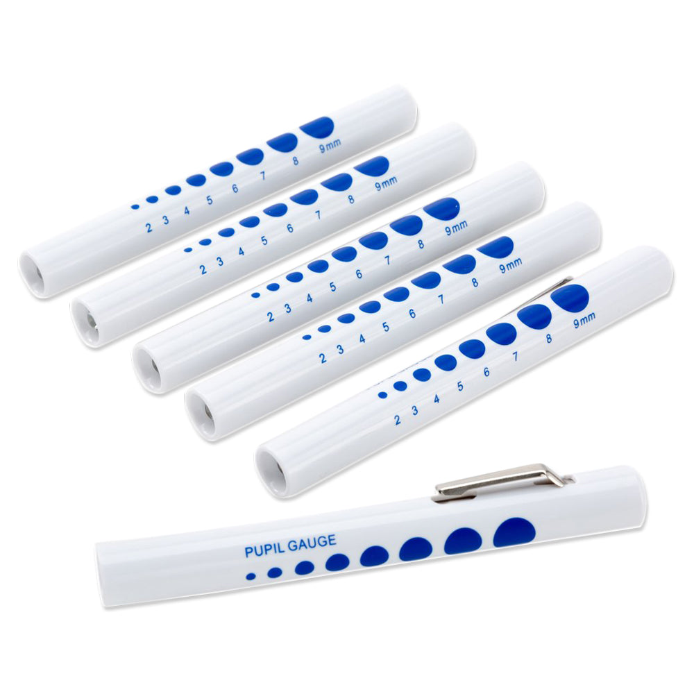 Penlight 6 PK
