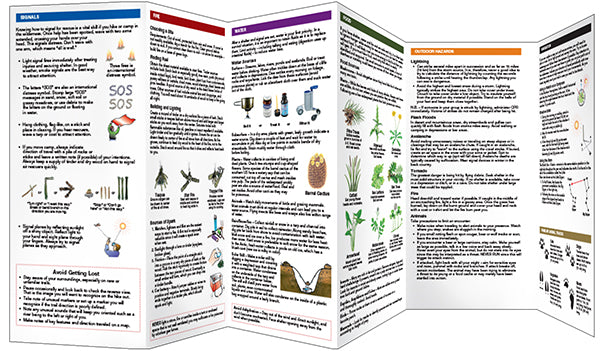 Wilderness Survival