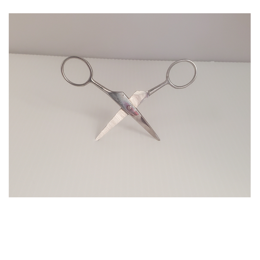 4" Stainless Steel Fine Point Scissor