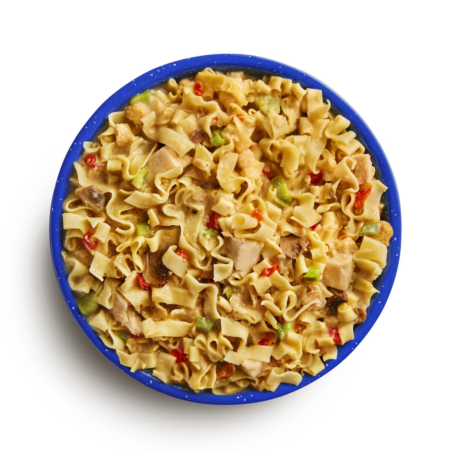 Homestyle Chicken Noodle Casserole – Freeze-Dried Meal (Pouch) | Mountain House