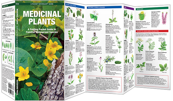 Medicinal Plants