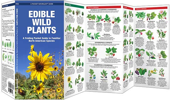 Edible Wild Plants – Waterford Press