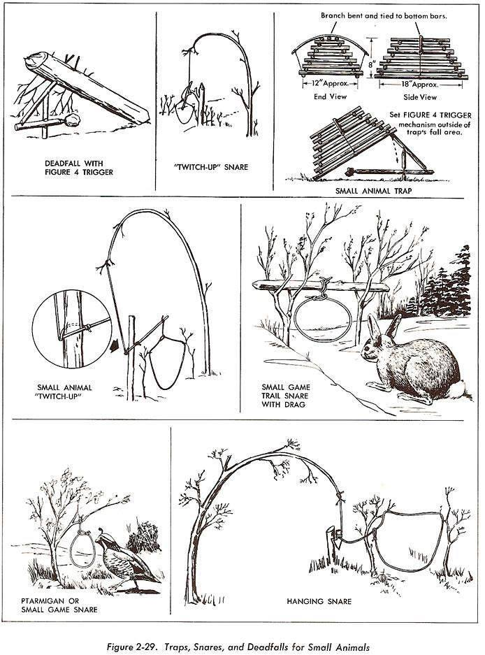 Bushcraft Field Guide to Trapping, Gathering, & Cooking – Dave Canterbury