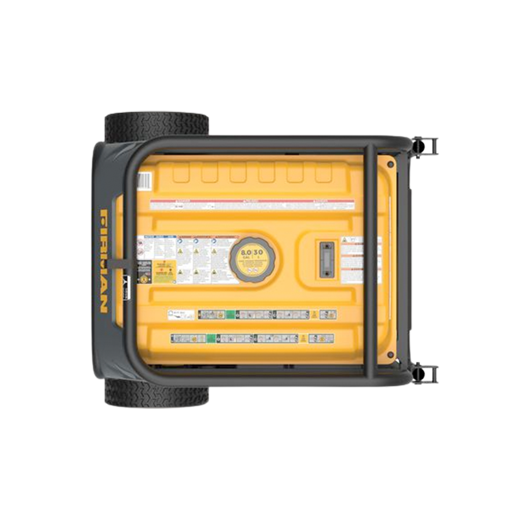 Firman H03651 Dual-Fuel Generator