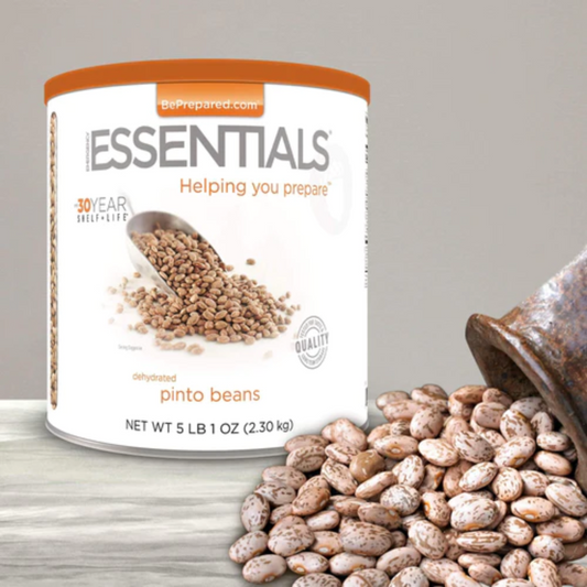 Pinto Beans #10